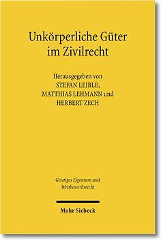 Unkörperliche Güter im Zivilrecht
