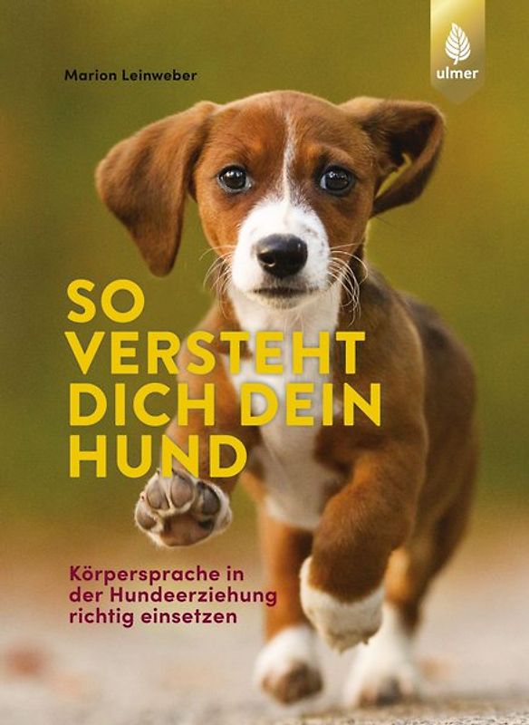 So versteht dich dein Hund