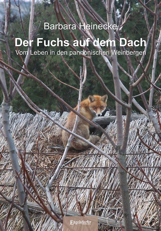 Der Fuchs auf dem Dach