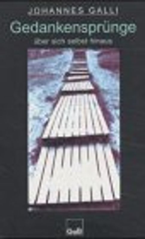 Gedankensprünge über sich selbst hinaus (Band 2)