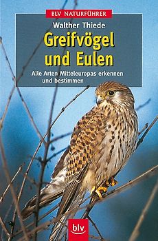 Greifvögel und Eulen