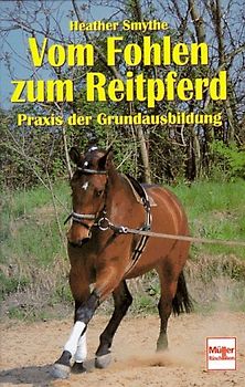 Vom Fohlen zum Reitpferd
