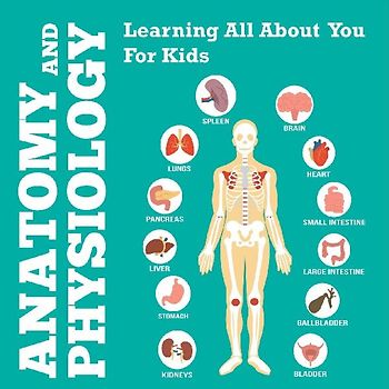 Anatomy And Physiology