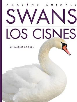 Swans / Los Cisnes