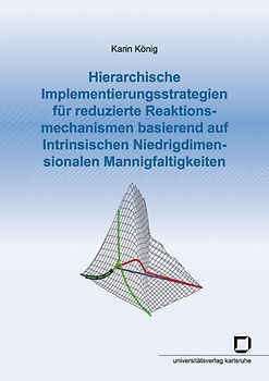 Hierarchische Implementierungsstrategien für reduzierte Reaktionsmechanismen basierend auf Intrinsischen Niedrigdimensionalen Mannigfaltigkeiten