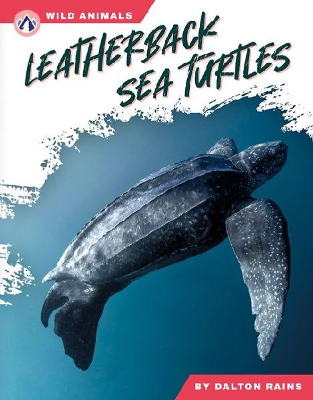Leatherback Sea Turtles