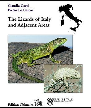 Lizards of Italy and Adjacent Areas