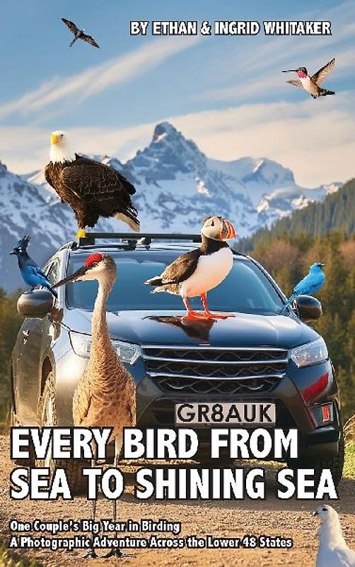 Every Bird from Sea to Shining Sea