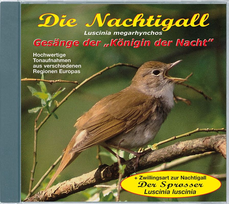 Die Nachtigall - Luscinia megarhynchos