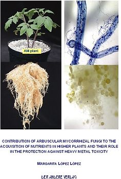 Contribution of arbuscular mycorrhizal fungi to the acquisition of nutrients in higher plants and their role in the protection against heavy metal toxicity