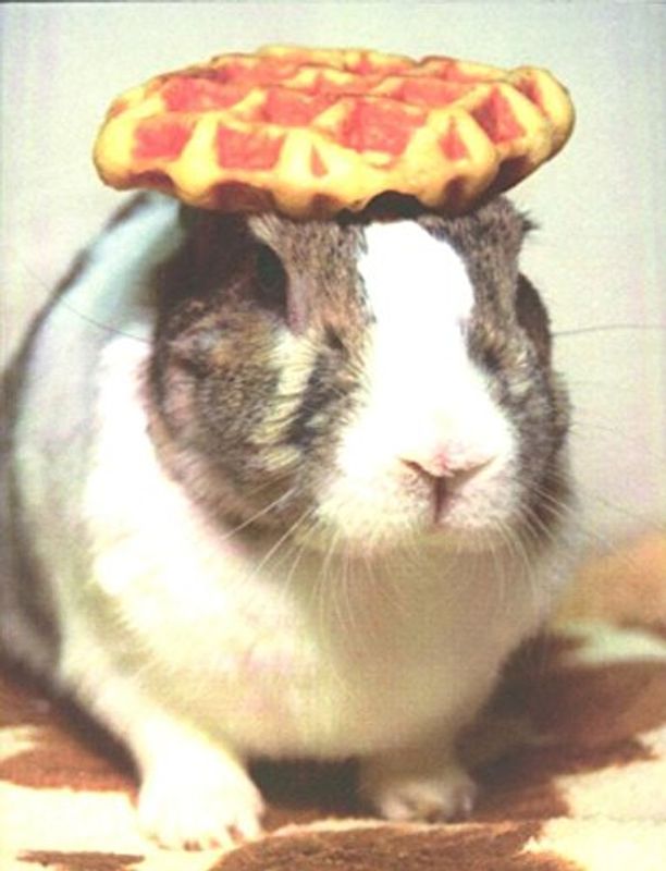 Oolong (No. 8) (In Almost Every Picture)