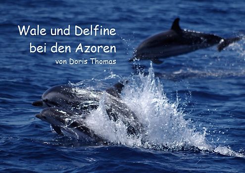 Wale und Delfine bei den Azoren (Posterbuch DIN A4 quer)