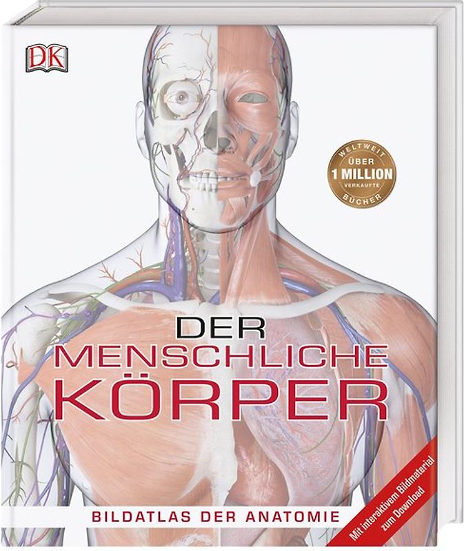 Der menschliche Körper