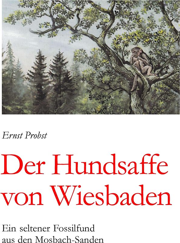 Der Hundsaffe von Wiesbaden