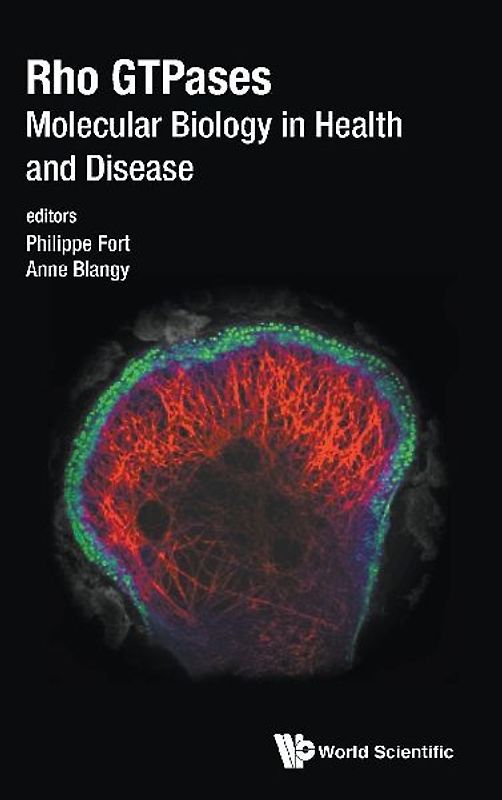 Rho Gtpases: Molecular Biology in Health and Disease