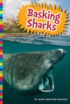 Basking Sharks