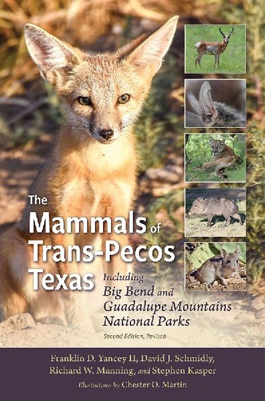 The Mammals of Trans-Pecos Texas