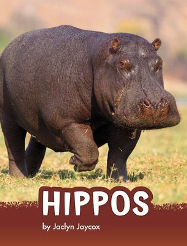 Hippos