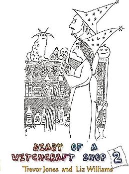Diary of a Witchcraft Shop 2