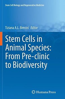 Stem Cells in Animal Species: From Pre-clinic to Biodiversity