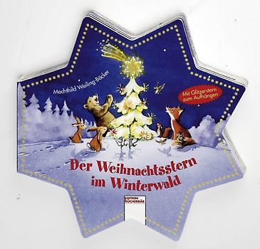 Der Weihnachtsstern im Winterwald
