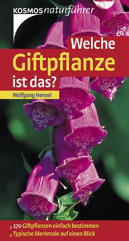 Welche Giftpflanze ist das?