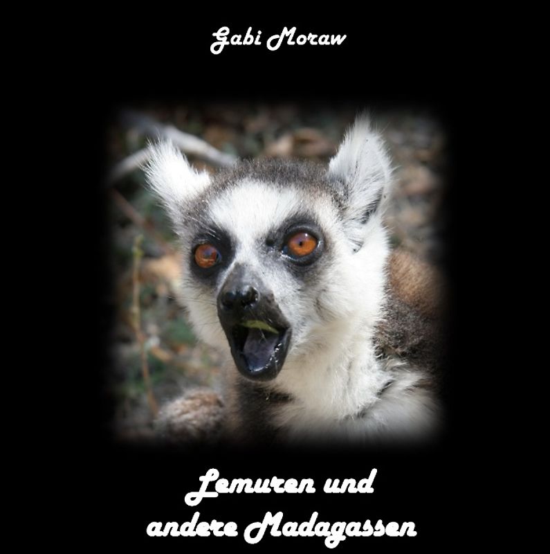 Lemuren und andere Madagassen