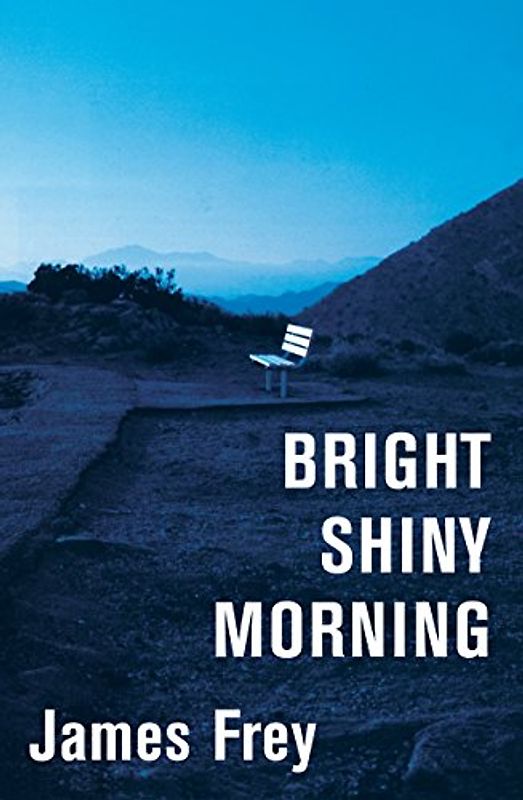 Bright Shiny Morning - James Frey