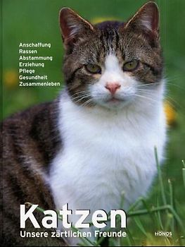 Katzen