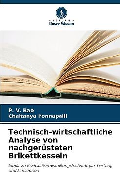 Technisch-wirtschaftliche Analyse von nachgerüsteten Brikettkesseln