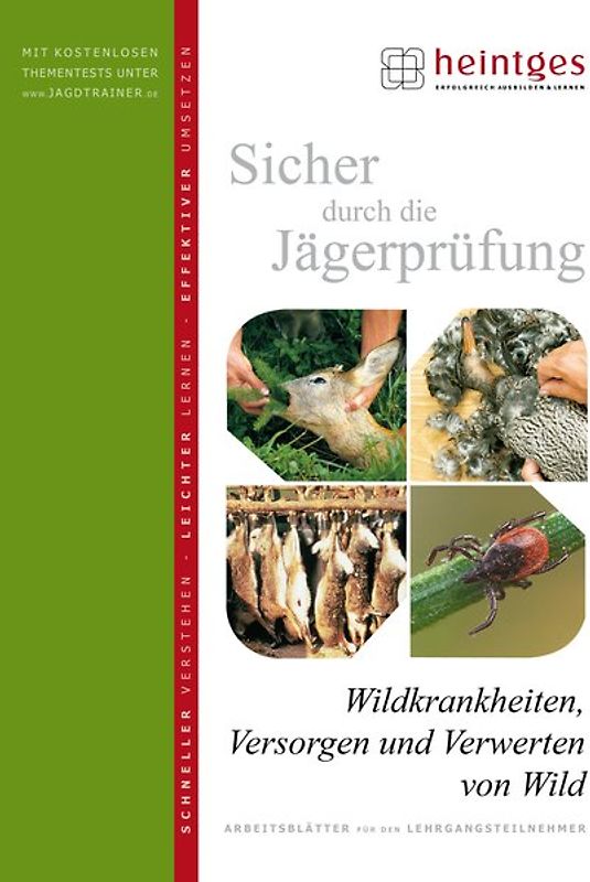 Wildkrankheiten, Versorgen und Verwerten von Wild