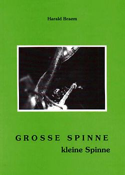 Grosse Spinne, kleine Spinne