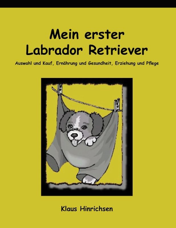 Mein erster Labrador Retriever