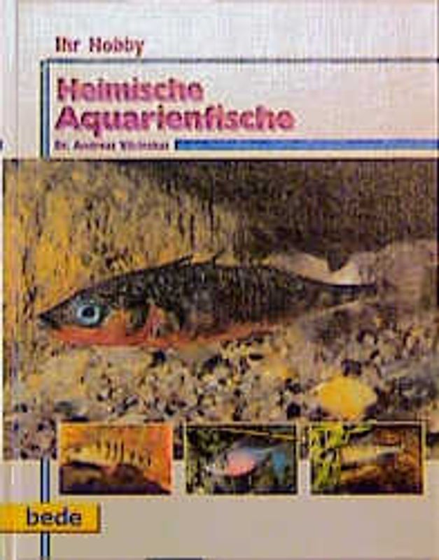 Ihr Hobby Heimische Aquarienfische