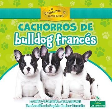 Cachorros de Bulldog Francés (French Bulldog Puppies)