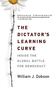 The Dictator's Learning Curve