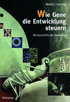 Wie Gene die Entwicklung steuern
