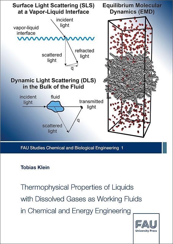 Thermophysical Properties of Liquids with Dissolved Gases as Working Fluids in Chemical and Energy Engineering