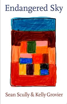 Endangered Sky