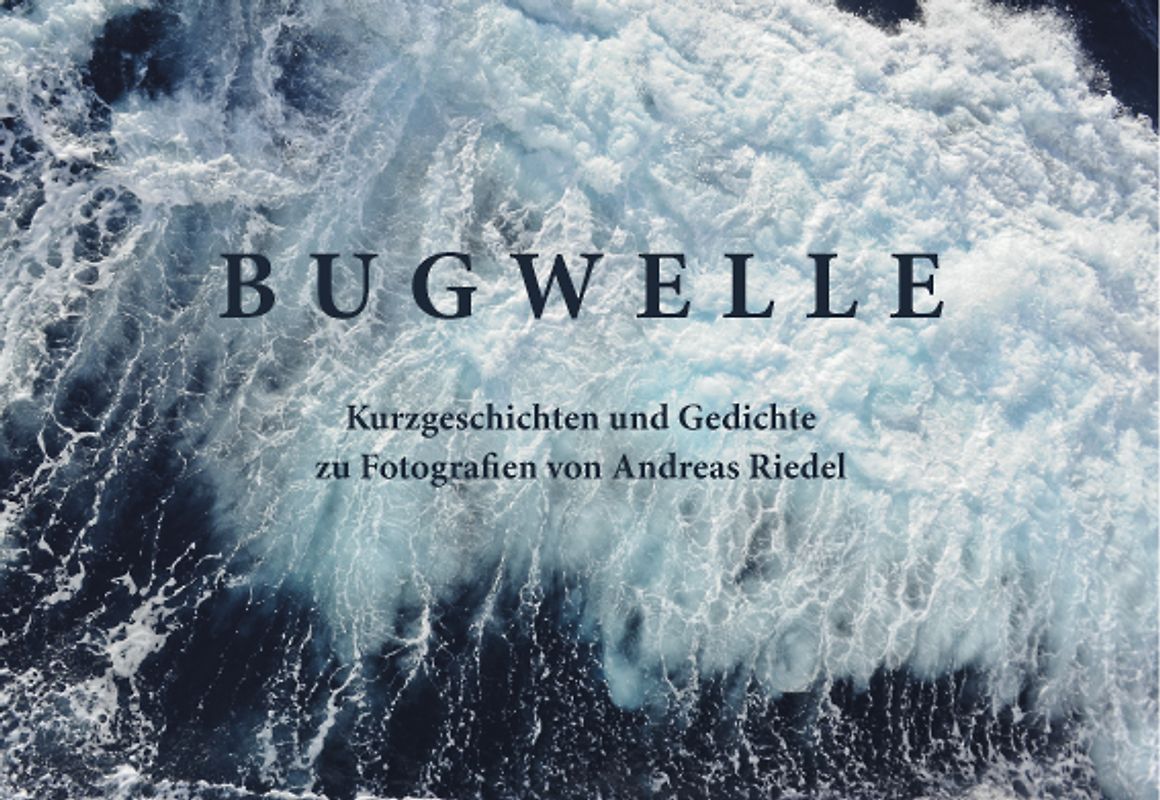 Bugwelle