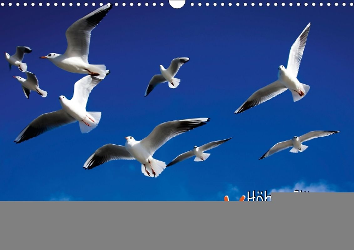 Höhenflüge – Vogelreisen (Posterbuch DIN A3 quer)