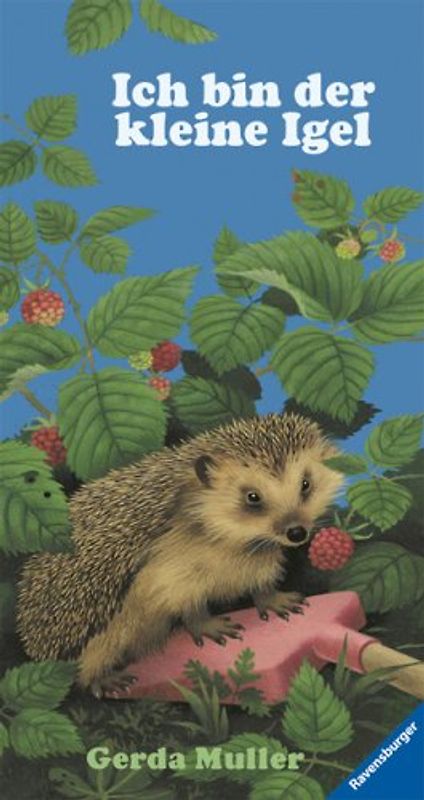 Ich bin der kleine Igel