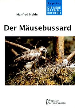 Der Mäusebussard