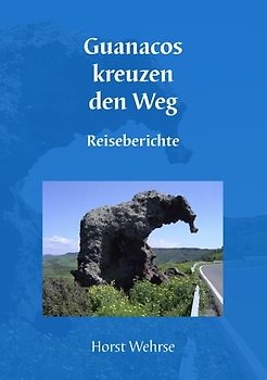 Guanacos kreuzen den Weg