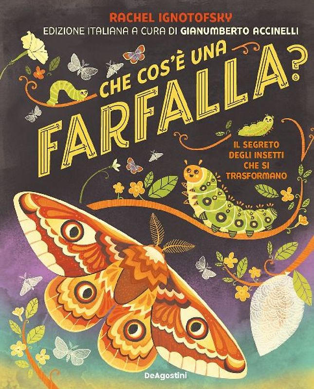 Che cos'è una farfalla? Il segreto degli insetti che si trasformano