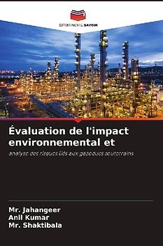 Évaluation de l'impact environnemental et