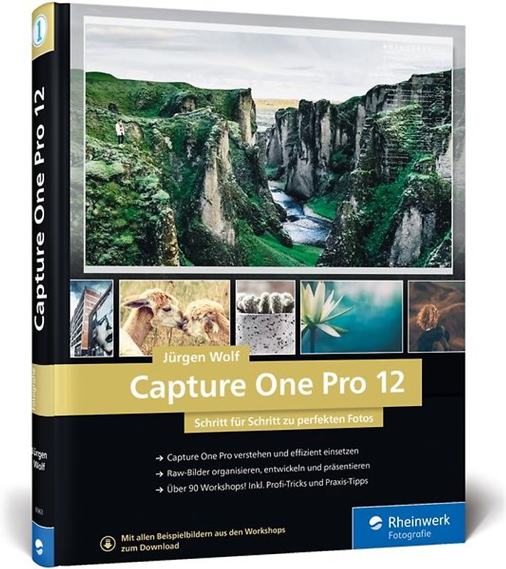Capture One Pro 12