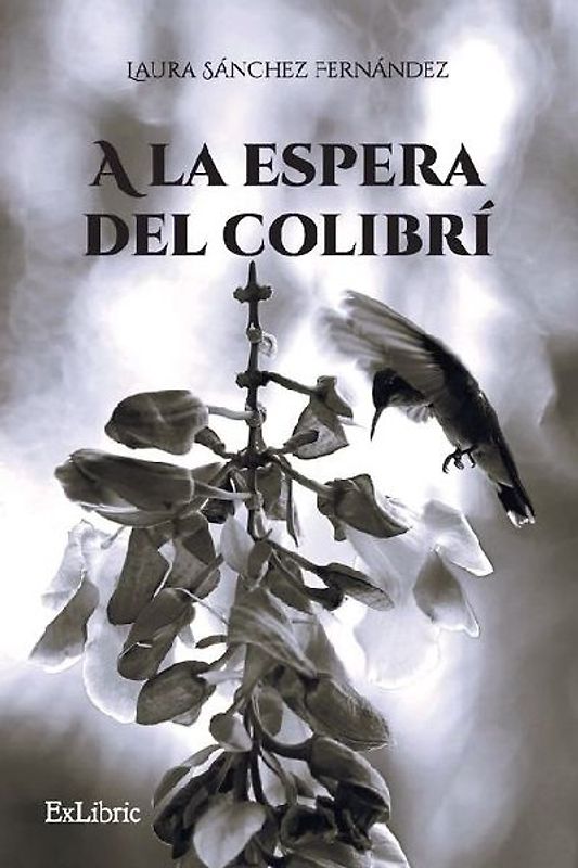 A la espera del colibrí