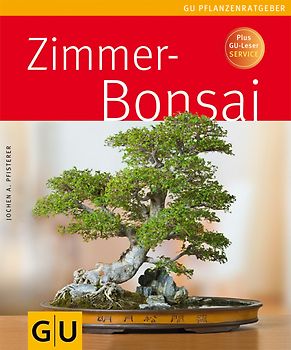 Zimmerbonsai