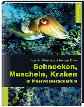 Schnecken, Muscheln, Kraken im Meerwasseraquarium
